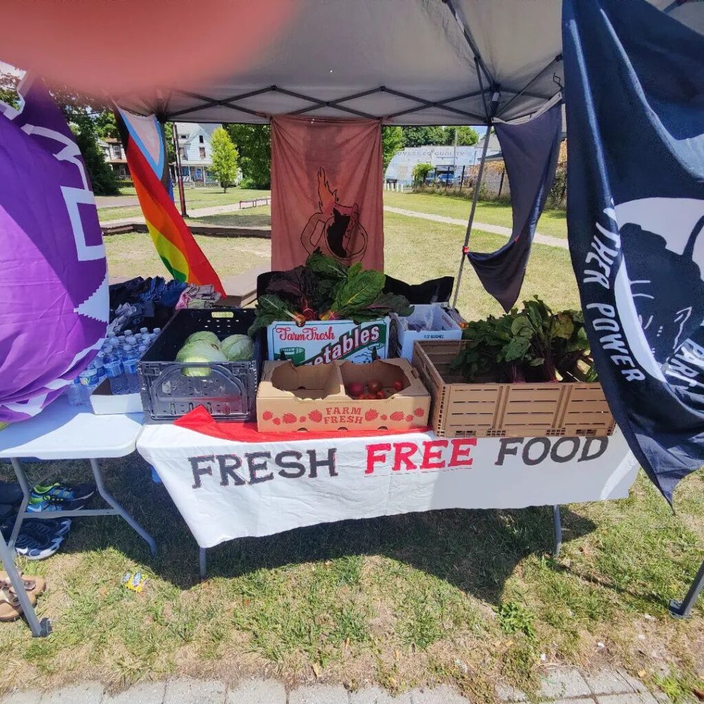 Vegetables and water from a mutual aid event