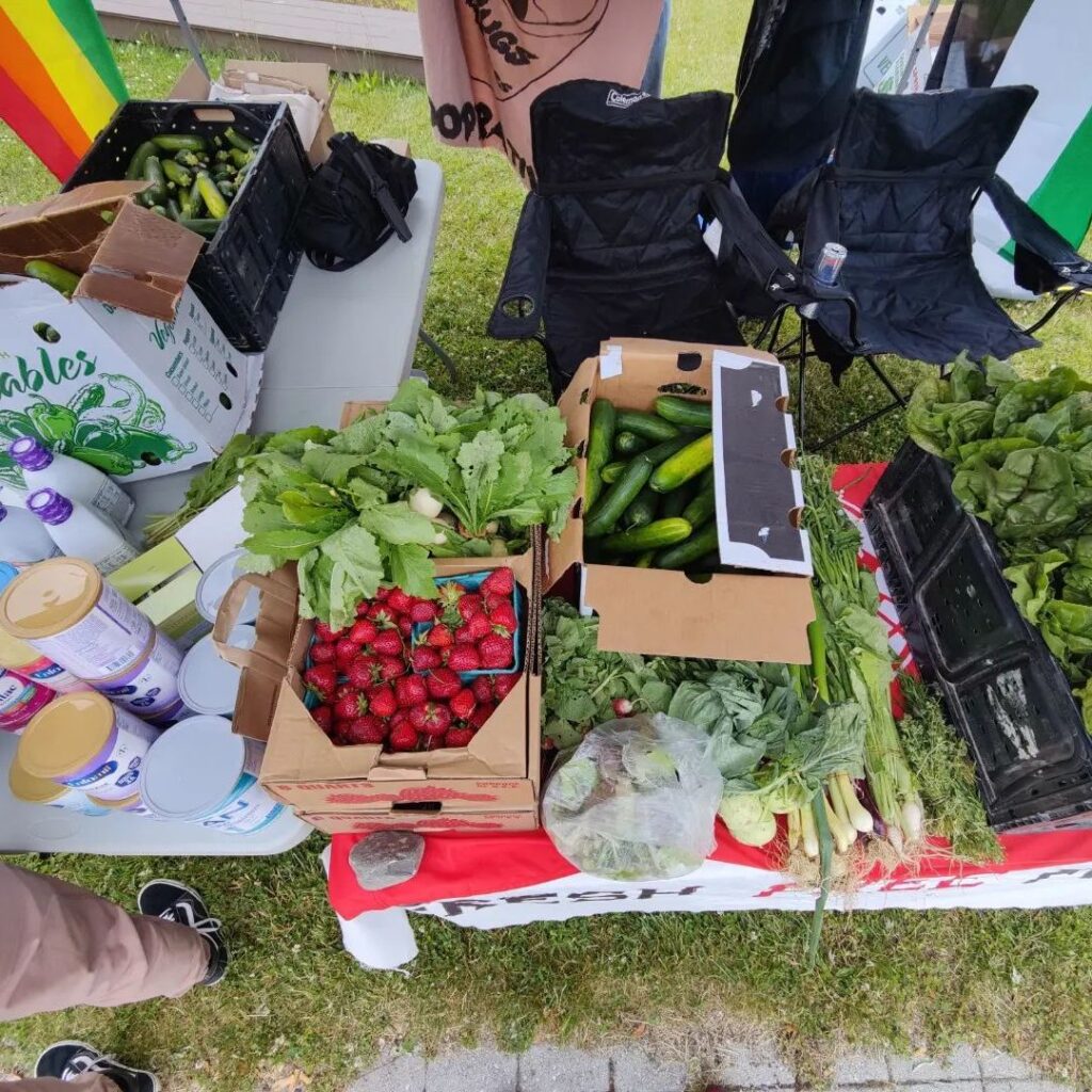 Vegetables and Baby Formula from a mutual aid event in 2022