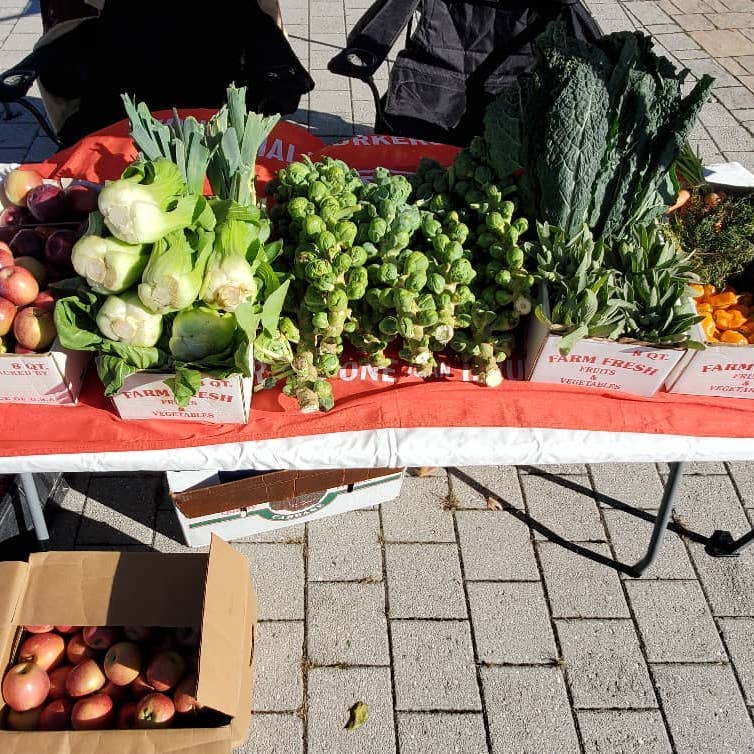 Vegetables from a mutual aid event 