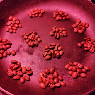 Photo of twelve piles of fifteen coffee beans each, spaced equally in a grid arrangement, representing twelve donations of fifteen dollars per month over the course of a year.