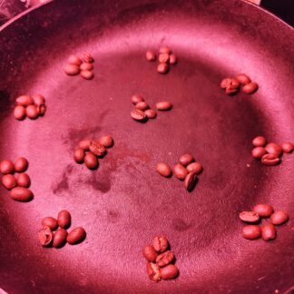 Photo of twelve piles of five coffee beans each, spaced equally in a grid arrangement, representing twelve donations of five dollars per month over the course of a year.