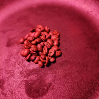 Photo of a pile of 50 coffee beans, representing a single donation of fifty dollars yearly.