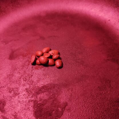 Photo of ten coffee beans in a pile, representing a single yearly donation of ten dollars.